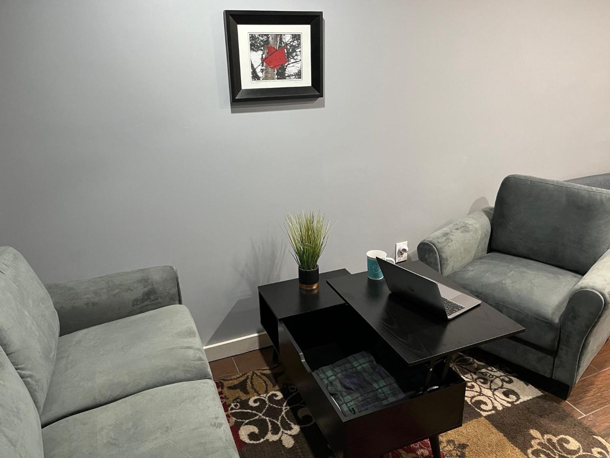 Plush Garden Level Apartment Near Stowe Morristown Esterno foto